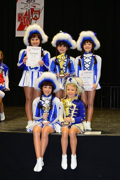 20151121Tanztunier der Karnevalisten __62.jpg - Sa. 21.11.2015,Hannover (Foto:Herbert Frost)